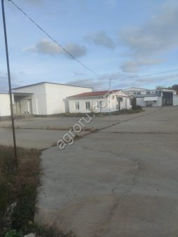 Убойное предприятие