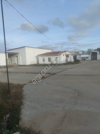 Убойное предприятие