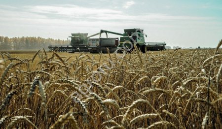 Хозяйство в Ростовской области (2400Га)