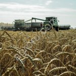 Хозяйство в Ростовской области (2400Га)