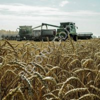 Хозяйство в Ростовской области (2400Га)