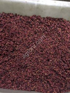 Брусника сушеная