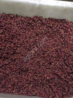 Брусника сушеная