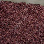 Брусника сушеная