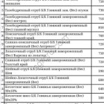 Говядина в В/У