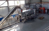 Линия производства фруктовых и овощных пюре