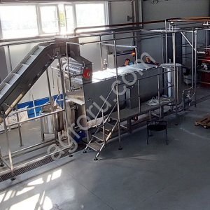 Линия производства фруктовых и овощных пюре