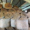 Сено в рулонах Люцерна