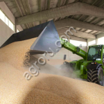 Пшеница 3 класса порт Санкт-Петербург