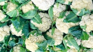 Фрукты и овощи из Ирана