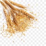 зерно,комбикорма