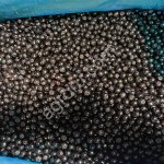 Черноплодная рябина