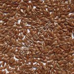 Семена льна масличного сорт ВНИИМК 620, Микс, Фаворит.