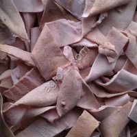 Шкура свиная