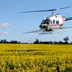Вертолет для обработки рапса