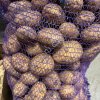 Картофель