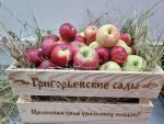 Яблоки