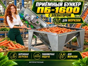 Приёмный бункер ПБ-1600 с элеватором для моркови