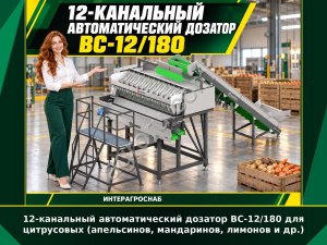 12-канальный автоматический дозатор ВС-12/180 для цитрусовых (апельсинов, мандаринов, лимонов и др.)
