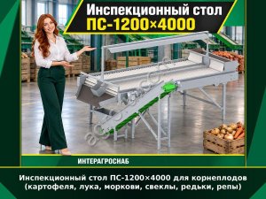 Инспекционный стол ПС-1200×4000 для корнеплодов (картофеля, лука, моркови, свеклы, редьки, репы)