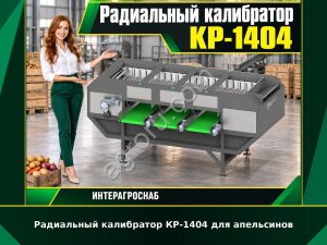 Радиальный калибратор КР-1404 для апельсинов