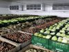Овощехранилища с Холодильной Установкой Для Хранения Овощей
