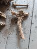 Корень хрена