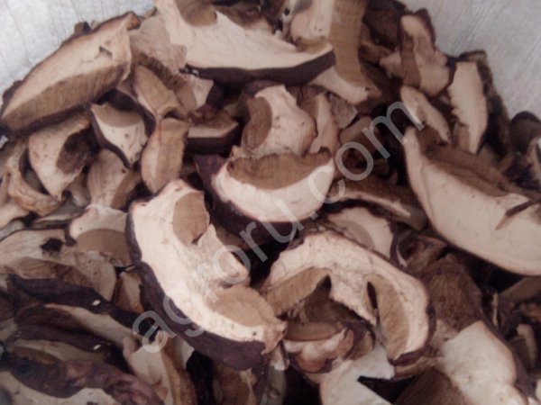 Сухие грибы