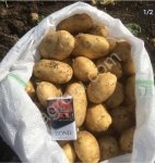 Картофель Коломбо