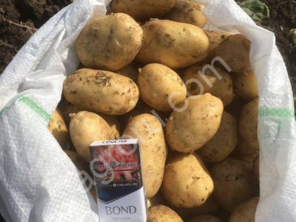 Картофель Коломбо