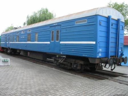 Во Владивостоке задержали 9 тонн среднеазиатской экзотики