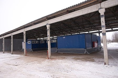 Ирландия откроет новый молокоперерабатывающий завод в Алжире