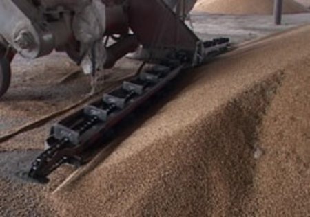 В Украине по состоянию на 9 июля собрано более 7 млн т зерна