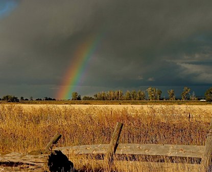 Волгоградская область: качественные семена - высокий урожай