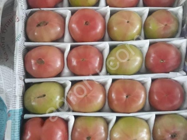 Томат Пинк Парадайз