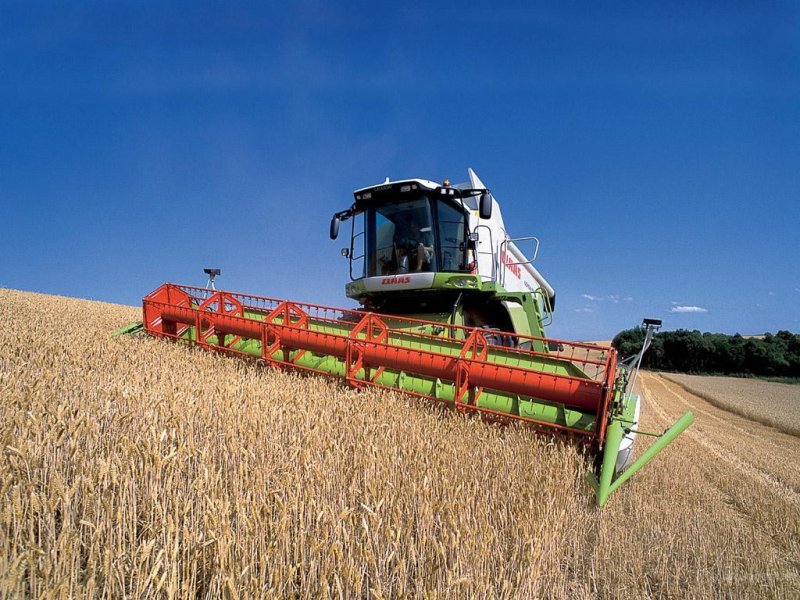 Уборка ранних зерновых в Приамурье почти завершена