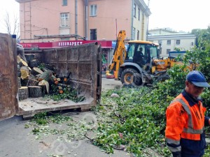 Вырубка, удаление, спил, валка деревьев