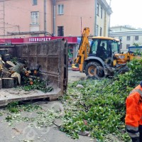 Вырубка, удаление, спил, валка деревьев