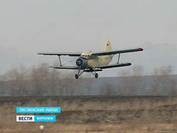 У аграриев Воронежской области начинается трудовой сезон