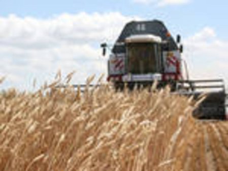 В Саратовской области предстоит убрать около 1,8 млн га зерновых