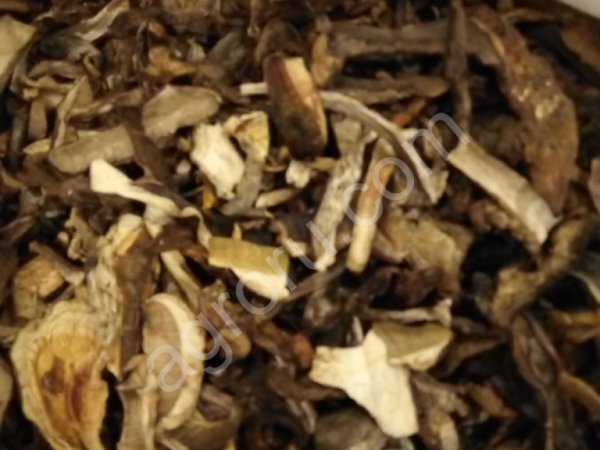 Сушеные грибы