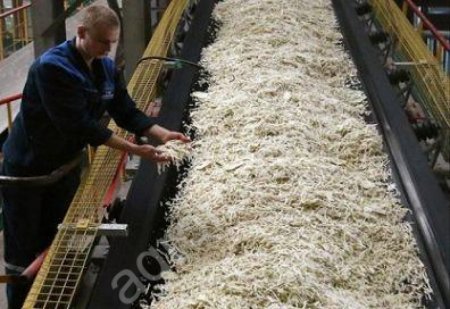 Жом свекловичный