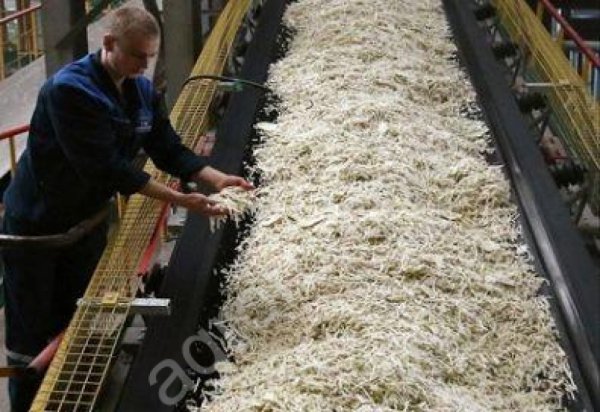 Жом свекловичный