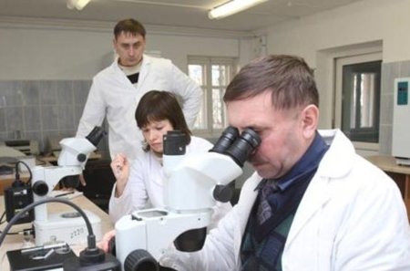 Новый завод в Липецкой области позволит выращивать телят «из пробирки»