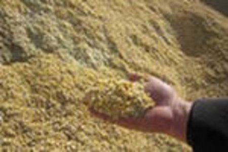 В Орловской области близится к завершению уборка зернового клина