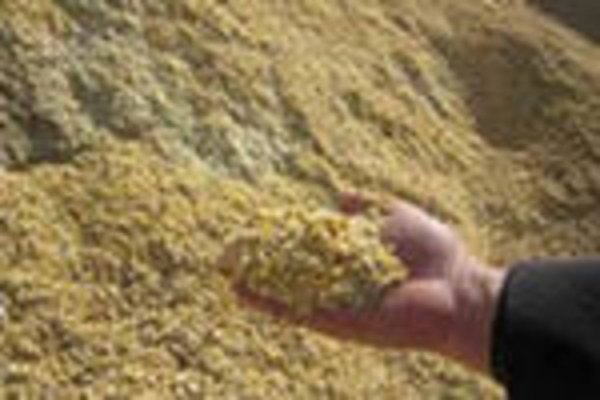 В Орловской области близится к завершению уборка зернового клина