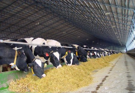 Экономика Республики Марий Эл