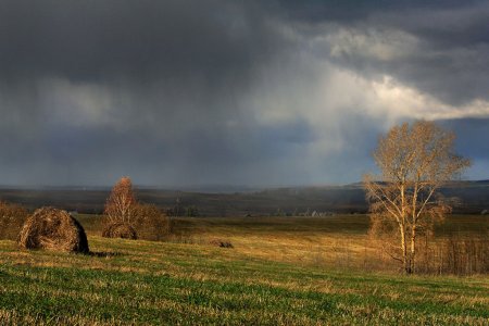 Ингосстрах