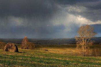 Ингосстрах