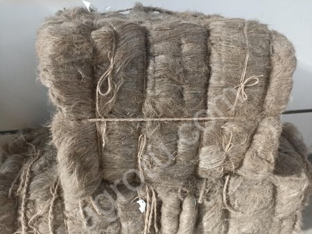 Лен трепаный